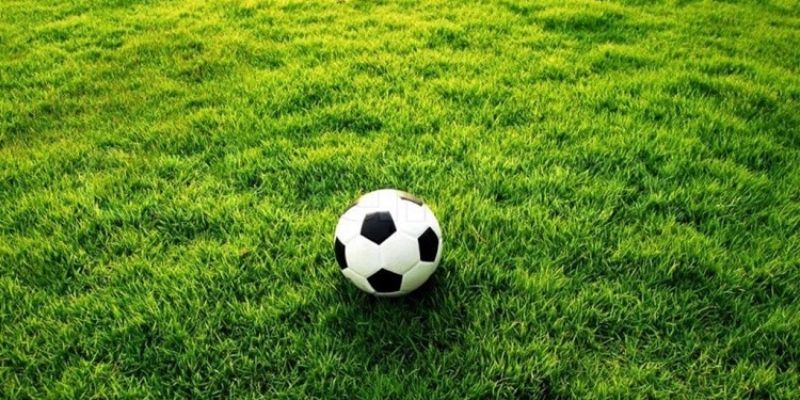 Các thể loại kèo tại trang cá cược thể thao uy tín Fanvip