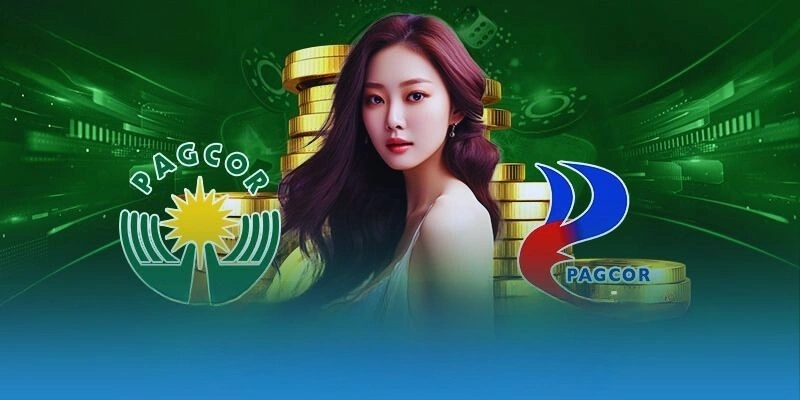 Các điểm chính trong điều khoản và điều kiện fanvip