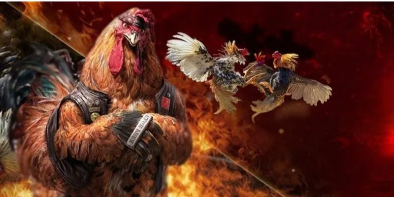 Đá Gà Trực Tiếp Campuchia – Siêu Kịch Tính Nhất 2025 4 Luật chơi đá gà trực tiếp campuchia tại Fanvip