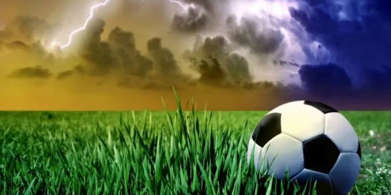 Ưu điểm nổi bật của trang cá cược thể thao uy tín Fanvip